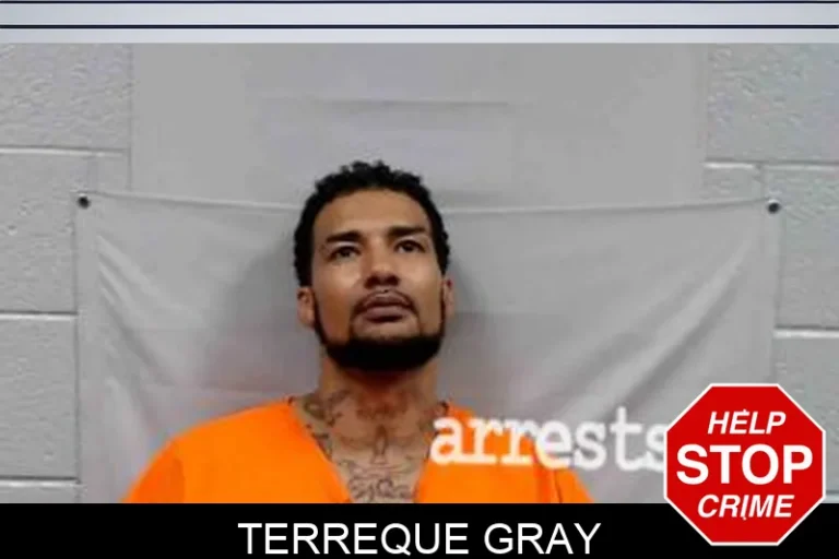 Terreque Gray