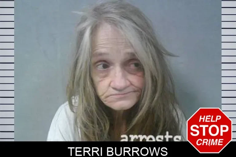 Terri Burrows