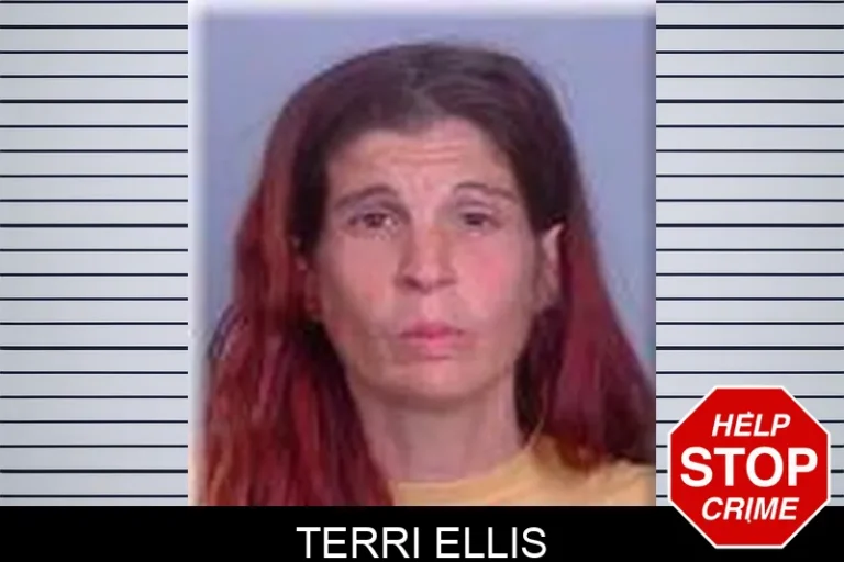 Terri Ellis