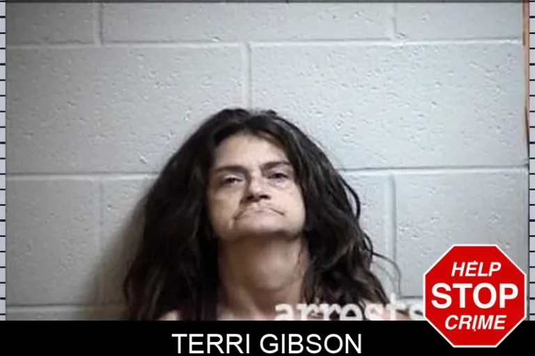 Terri Gibson