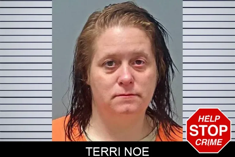 Terri Noe