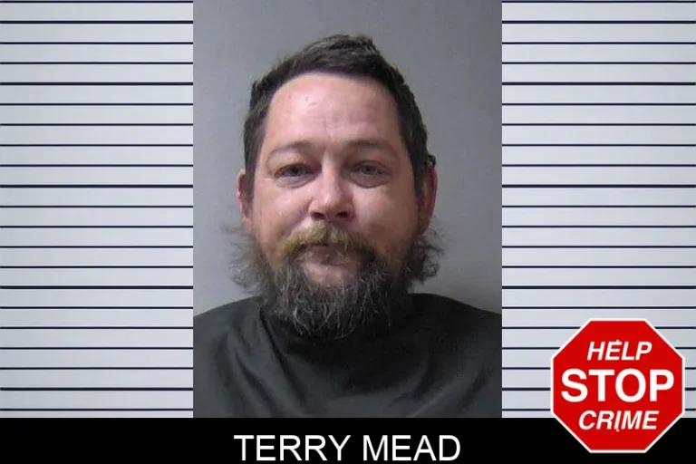 Terry Mead