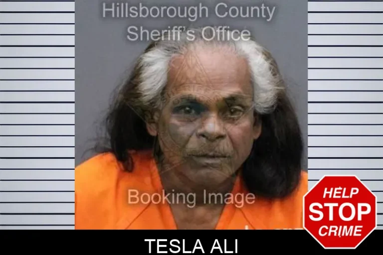 Tesla Ali