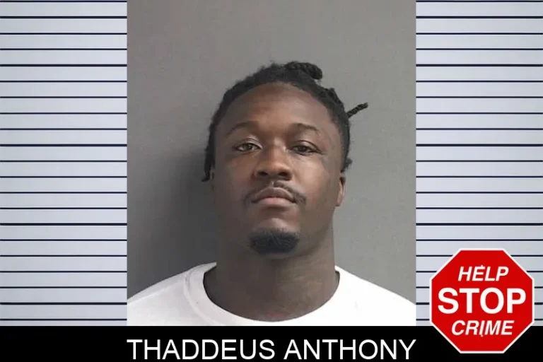 Thaddeus Anthony