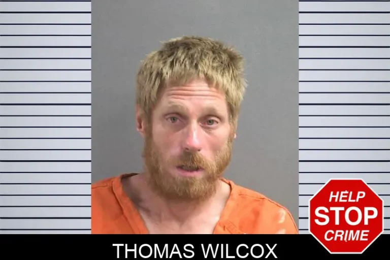 Thomas Wilcox