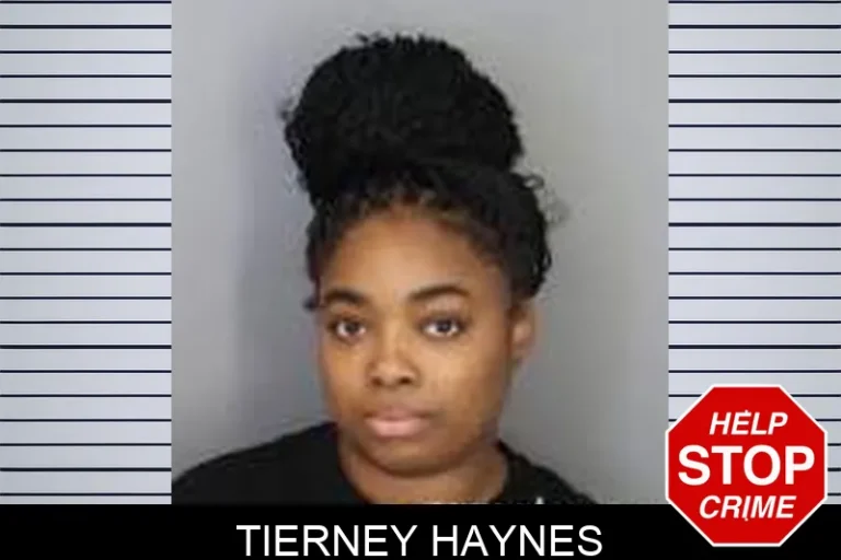 Tierney Haynes