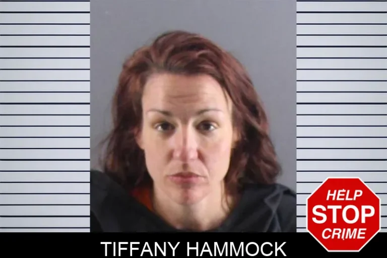 Tiffany Hammock
