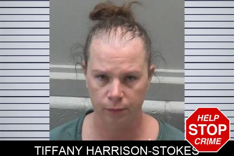 Tiffany Harrison-Stokes