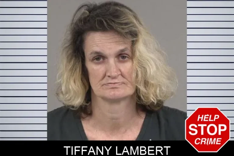 Tiffany Lambert