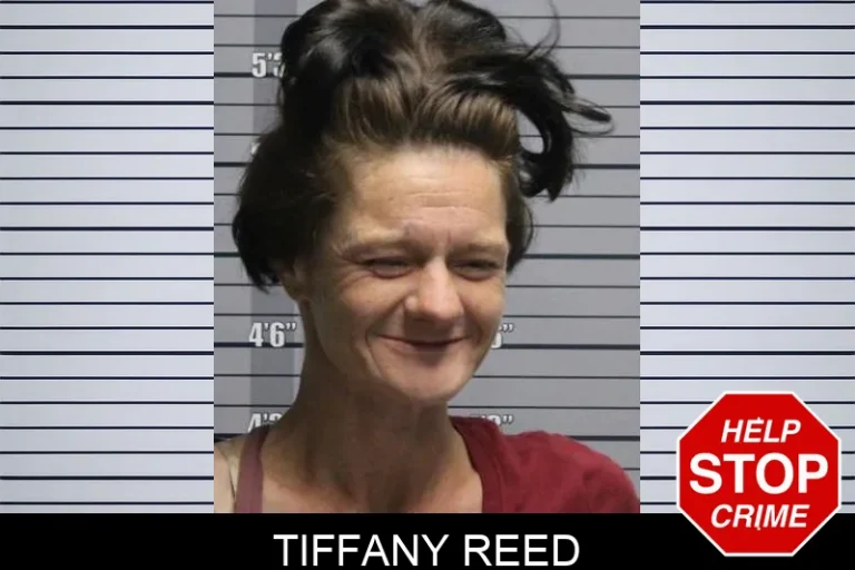 Tiffany Reed