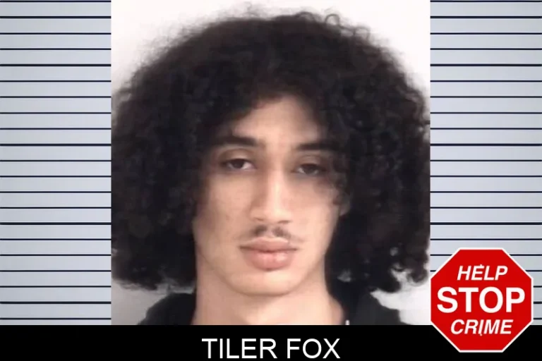 Tiler Fox