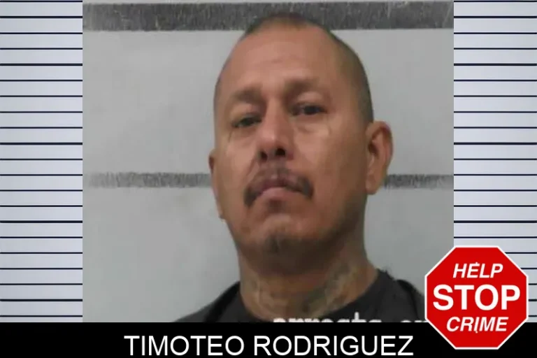 Timoteo RodriguEz