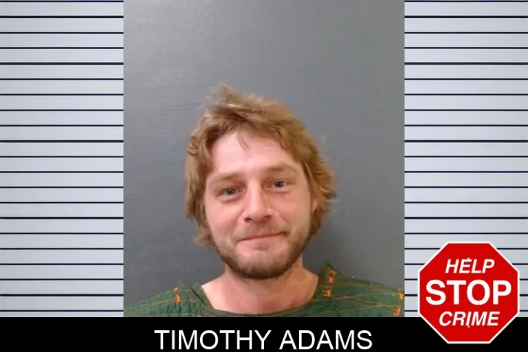 Timothy Adams