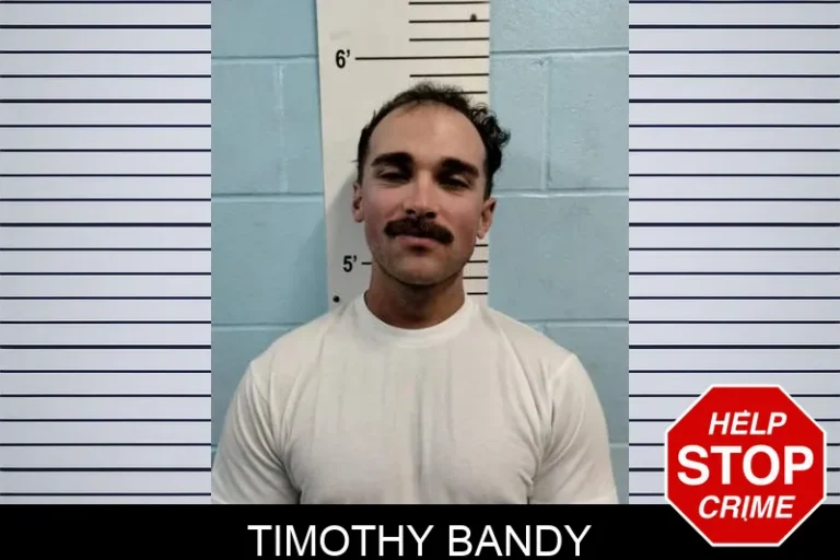 Timothy Bandy