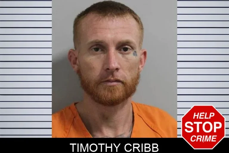 Timothy Cribb
