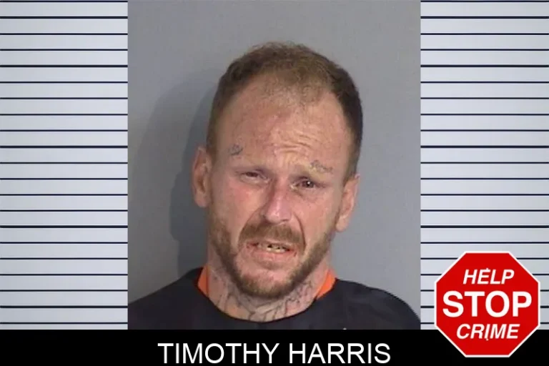 Timothy Harris
