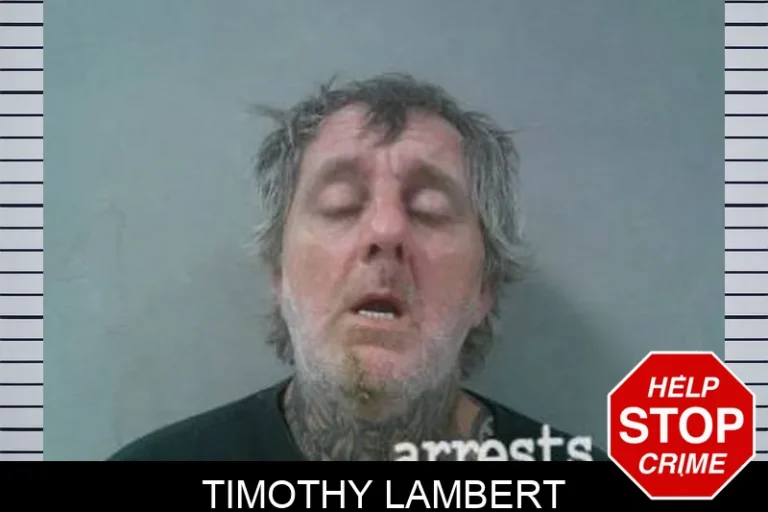 Timothy Lambert