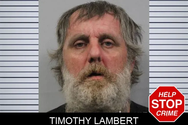 Timothy Lambert