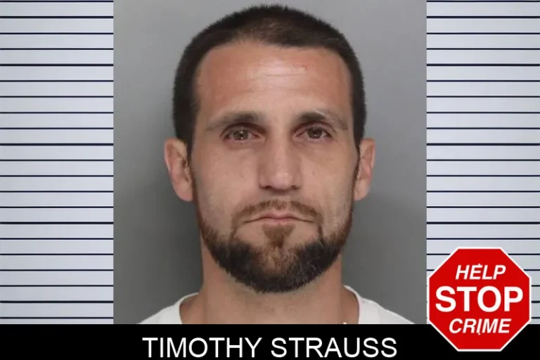 Timothy Strauss