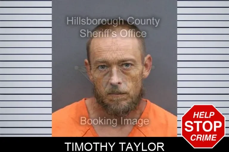 Timothy Taylor