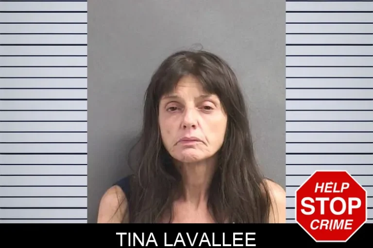 Tina Lavallee