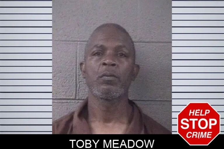Toby Meadow
