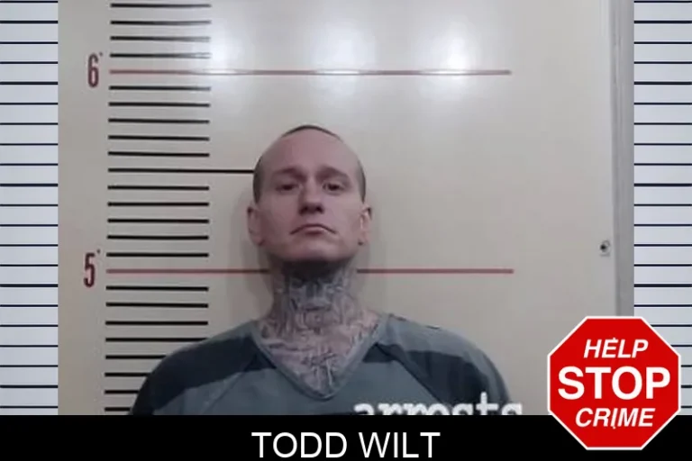 Todd Wilt