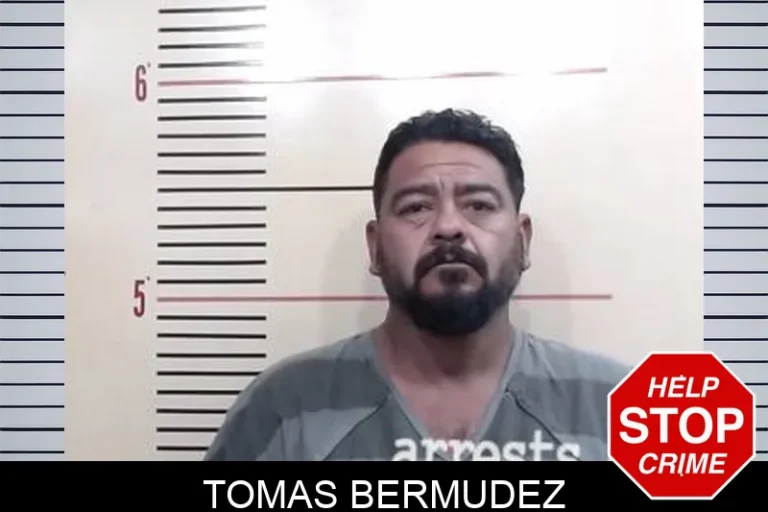 Tomas Bermudez