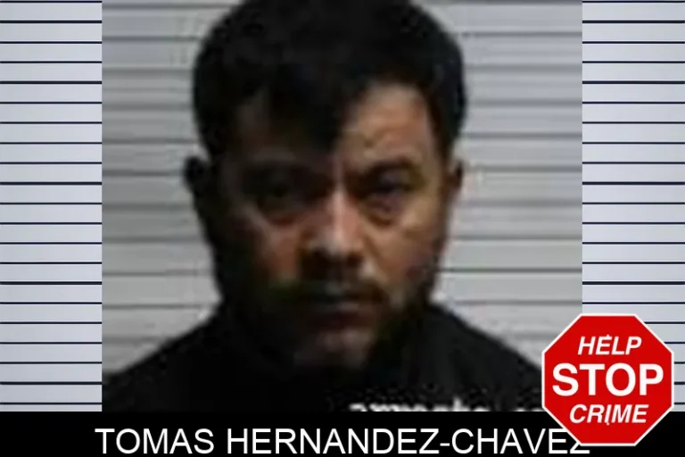 Tomas Hernandez-Chavez
