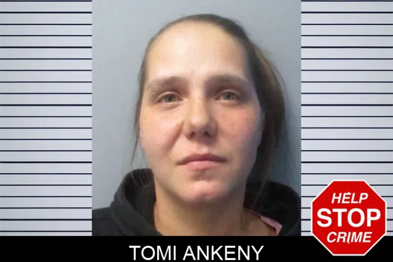 Tomi Ankeny