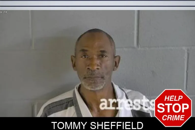 Tommy Sheffield