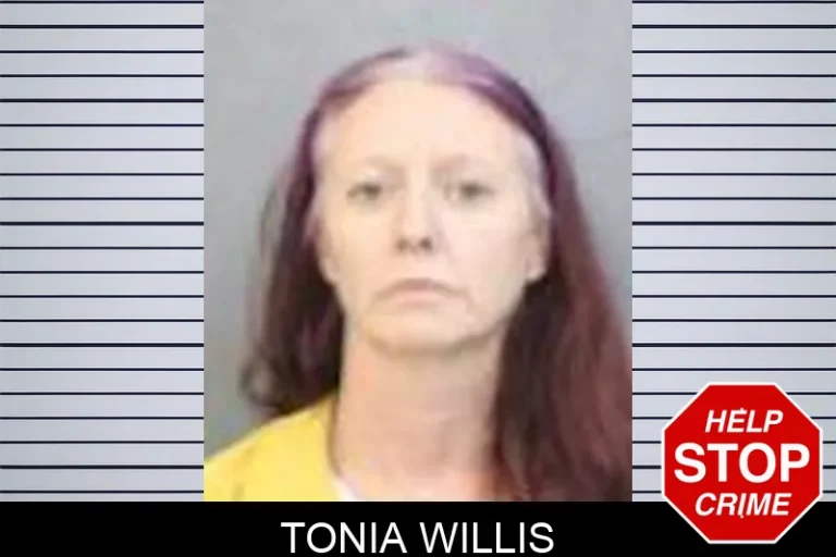 Tonia Willis