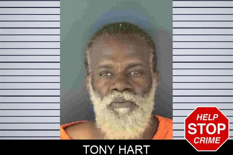 Tony Hart