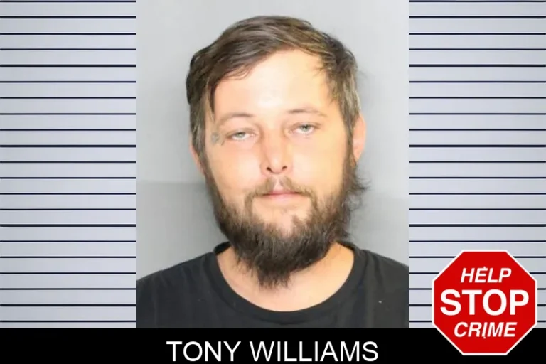 Tony Williams
