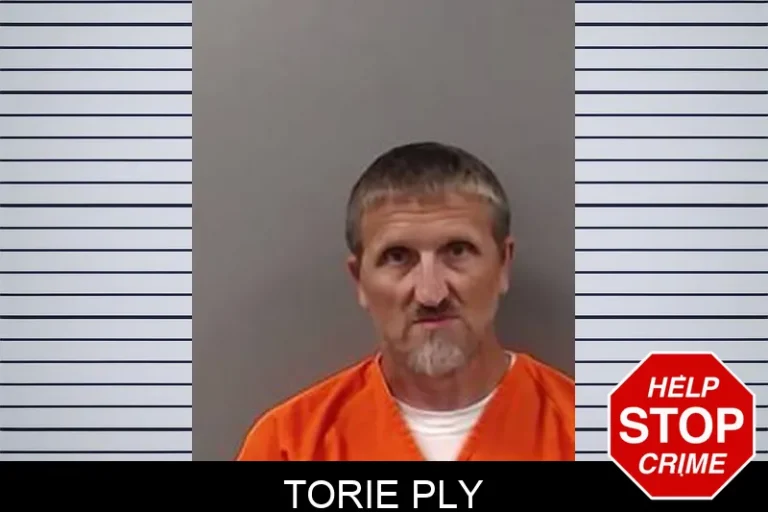 Torie Ply