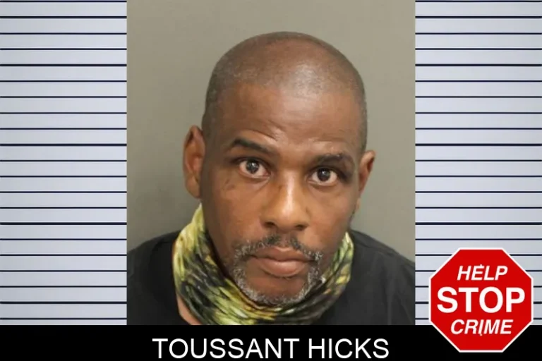 Toussant Hicks