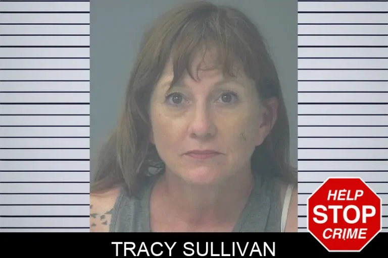 Tracy SuLlivan