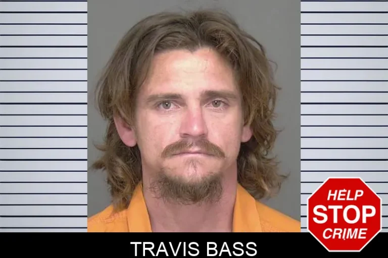 Travis Bass