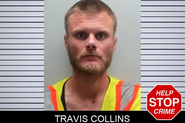 Travis Collins