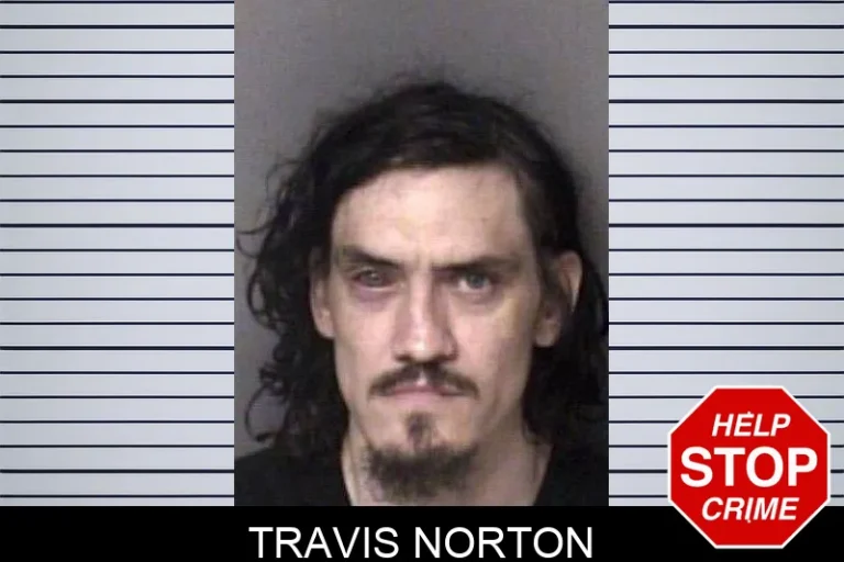 Travis Norton