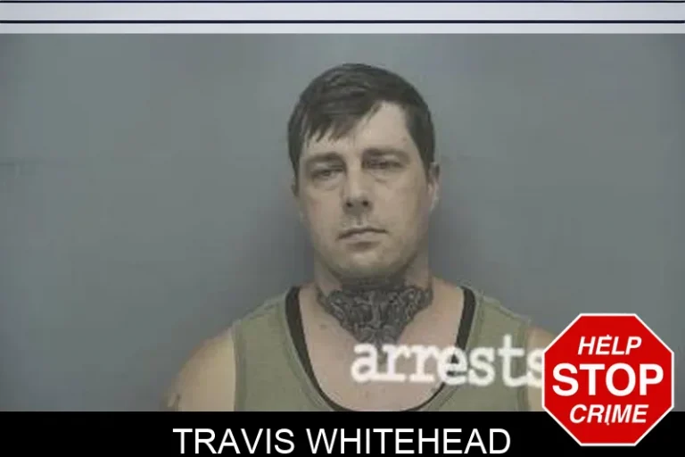 Travis Whitehead
