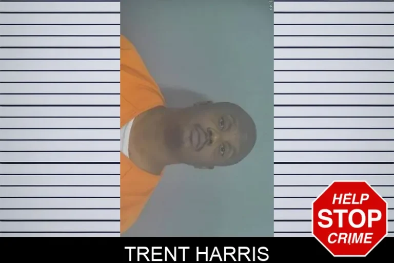 Trent Harris