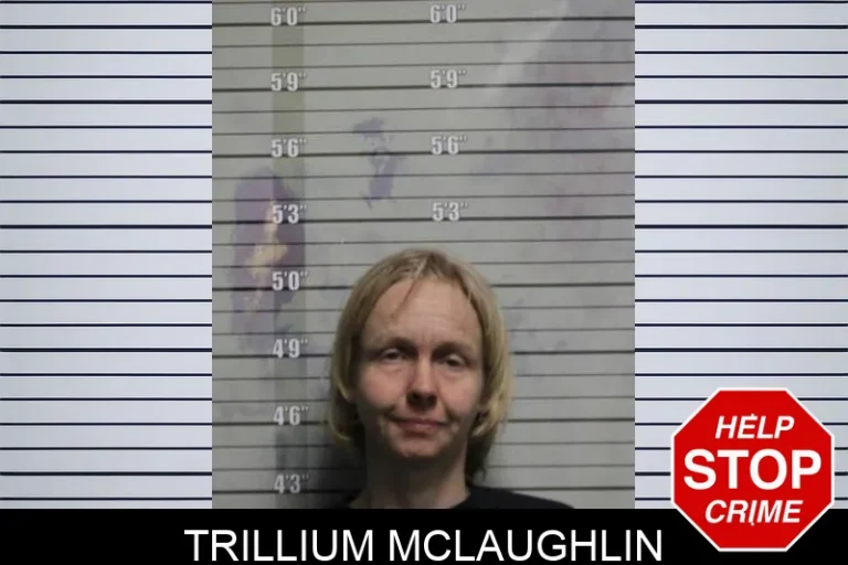 Trillium McLaughlin
