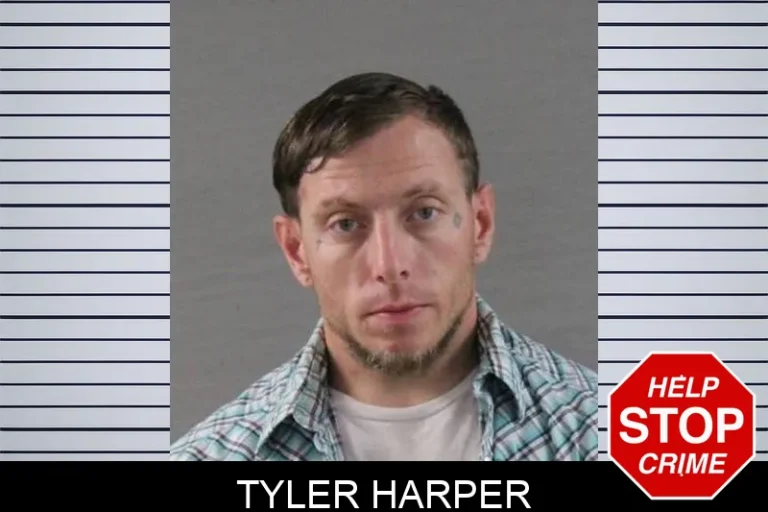 Tyler Harper