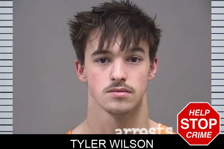 Tyler Wilson