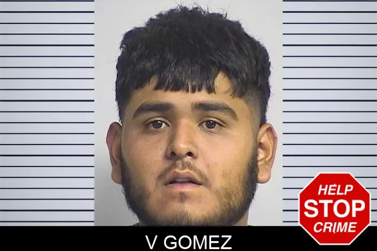 V Gomez