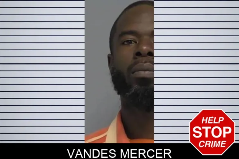 Vandes Mercer