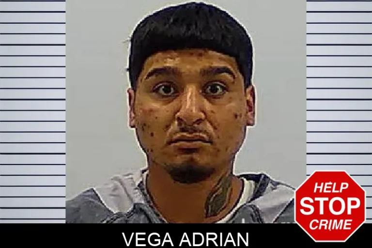Vega Adrian