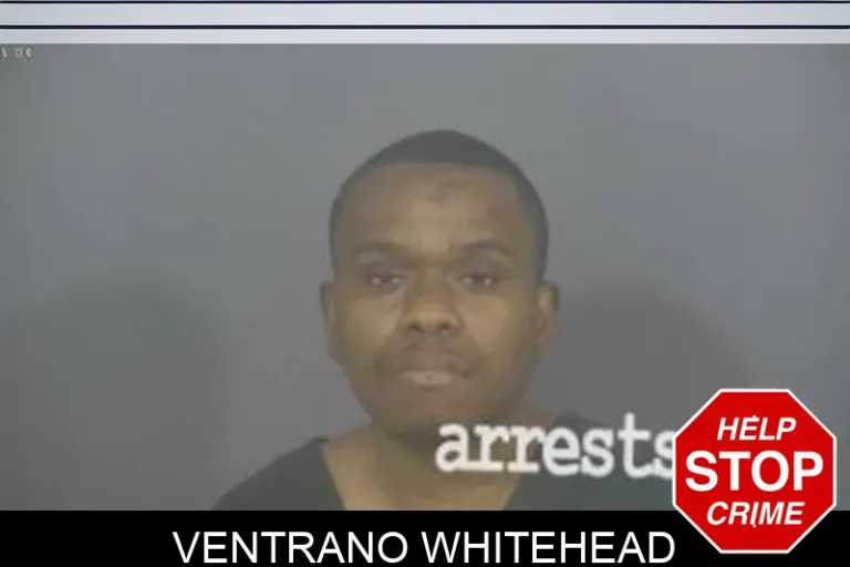 Ventrano Whitehead