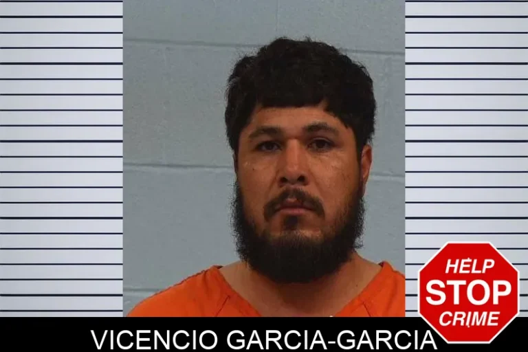 Vicencio Garcia-Garcia